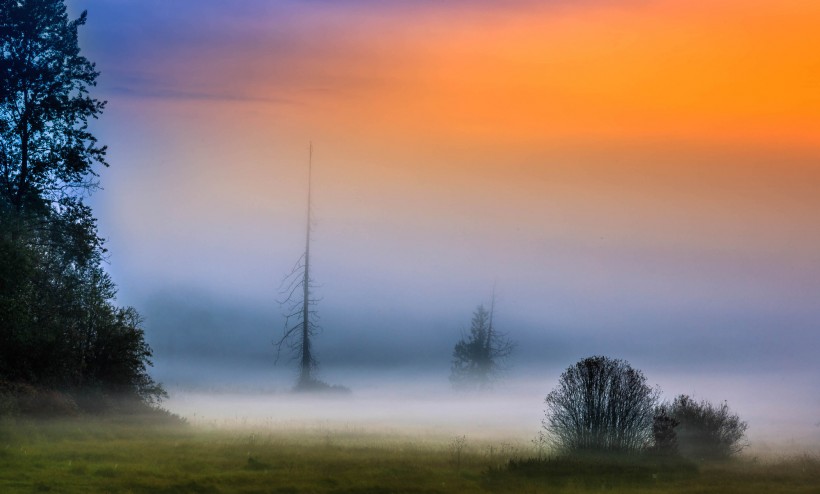 唯美晨雾风景图片