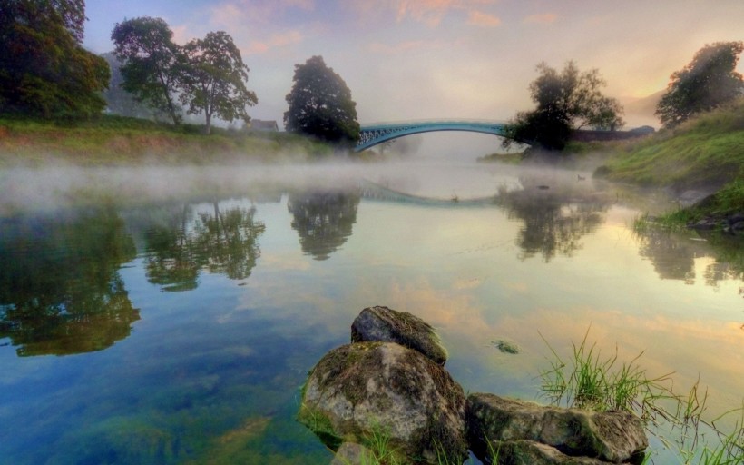 雾中美丽温柔的世界图片
