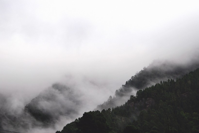 白茫茫的雾风景图片