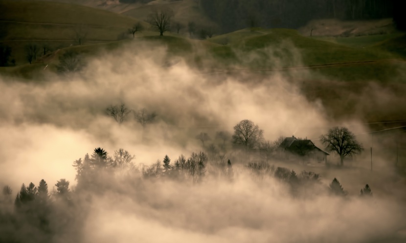雾气弥漫的自然风景图片