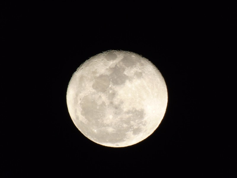 皎洁的月亮图片