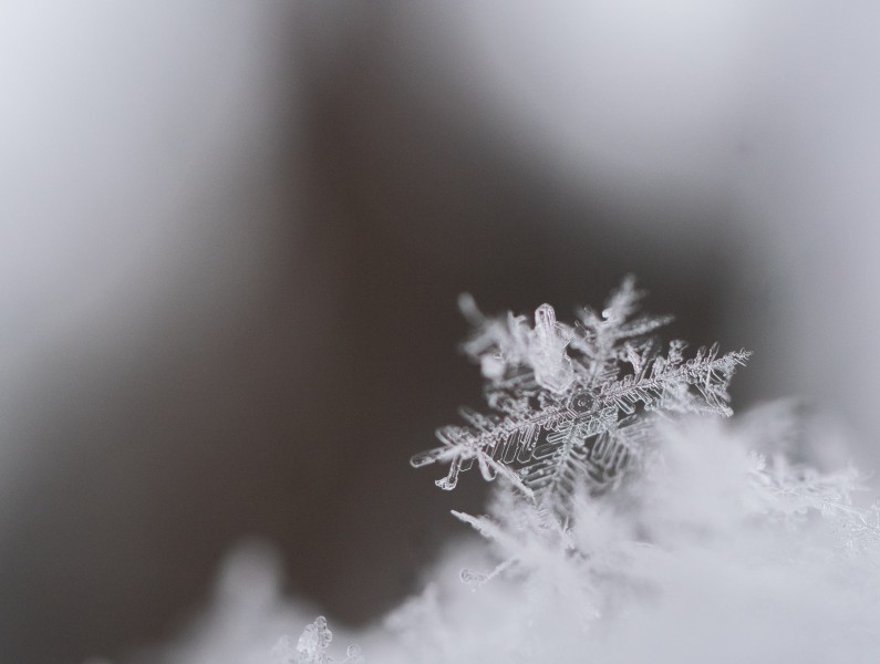 晶莹剔透的雪花图片