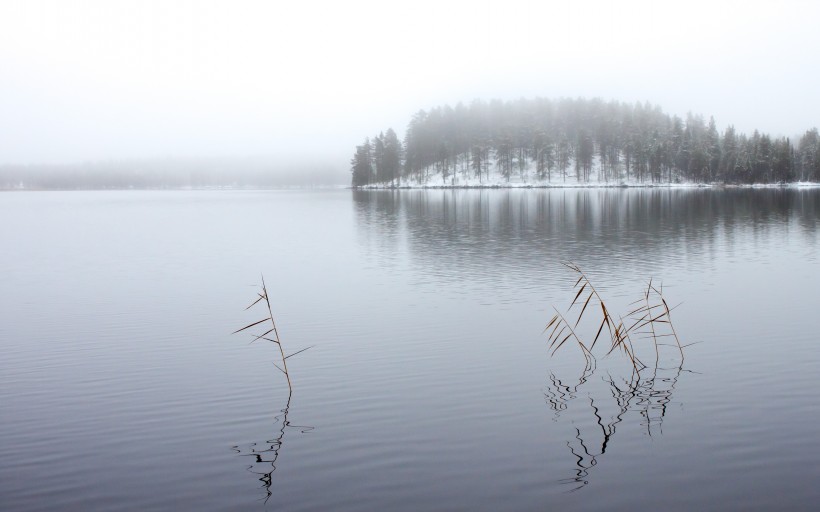 宁静的湖泊图片
