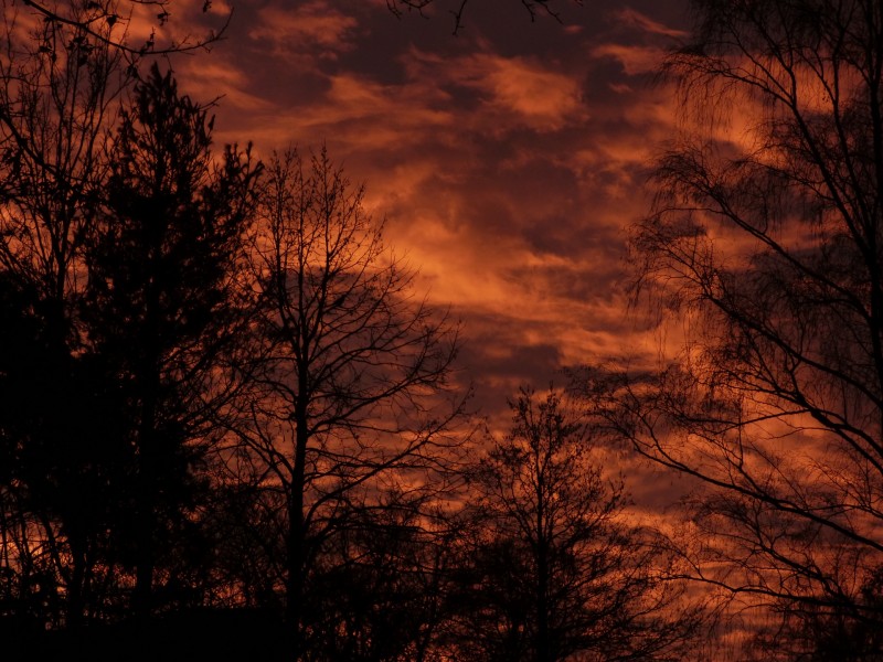 火烧云风景图片