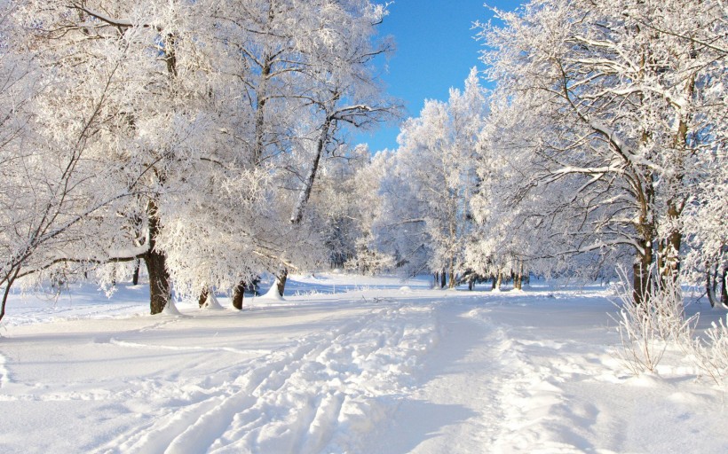 唯美的冬季雪景图片