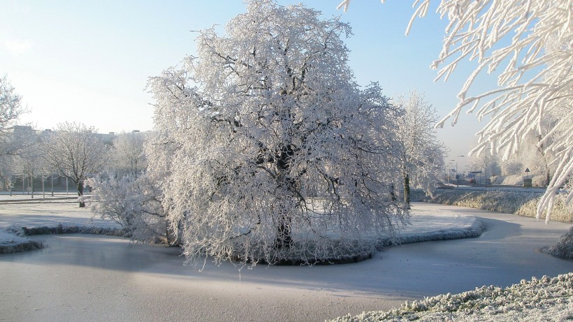 白雪皑皑的景色图片