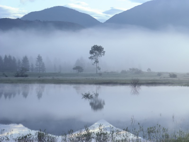 云雾缭绕自然风景图片