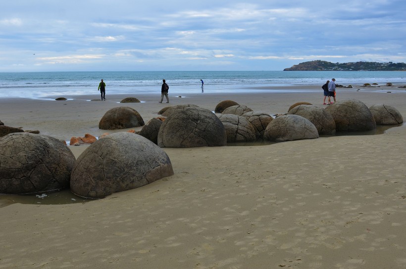 新西兰摩拉基大圆石图片