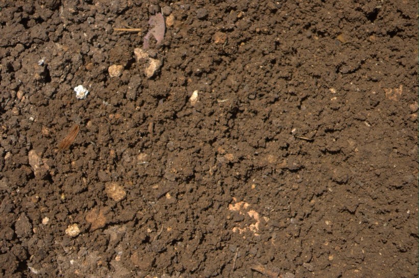 地面土壤图片
