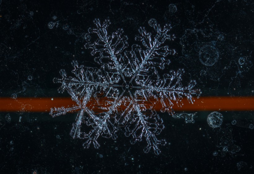 显微镜拍摄的雪花图片