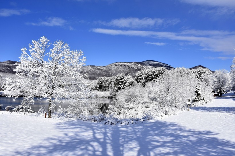 冬天唯美的雪景图片