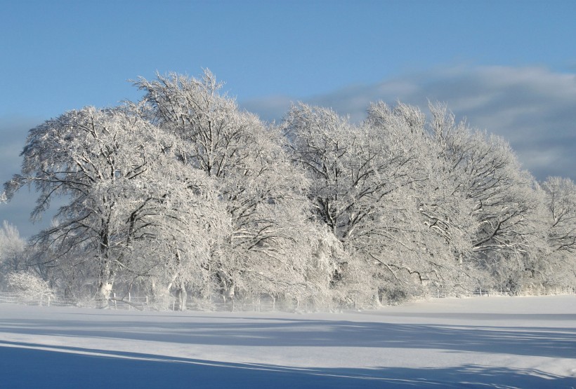 冬天唯美的雪景图片