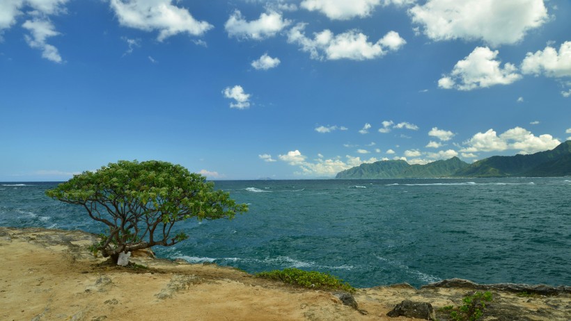 夏威夷海岸风景图片