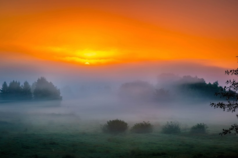 唯美晨雾风景图片