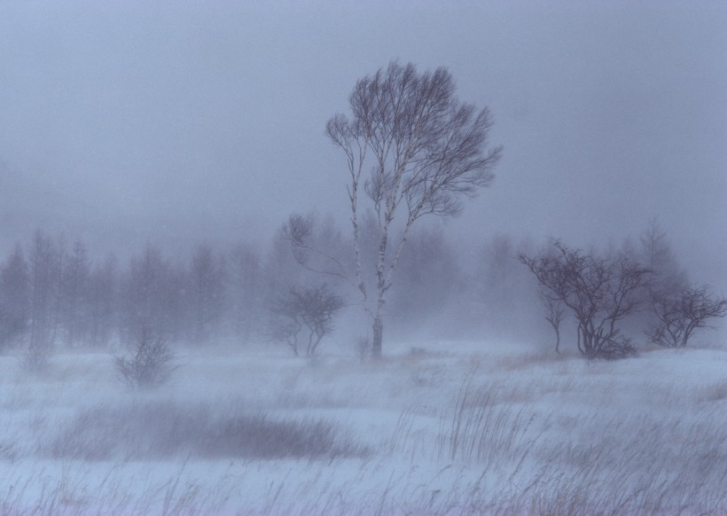 冬季树木河流风景图片