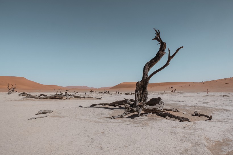 无边的沙漠图片