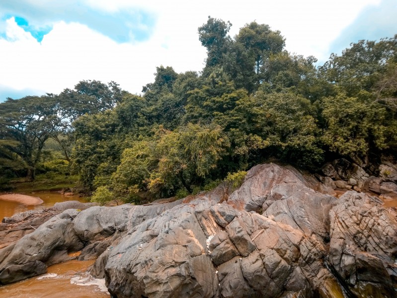 溪流边的岩石图片