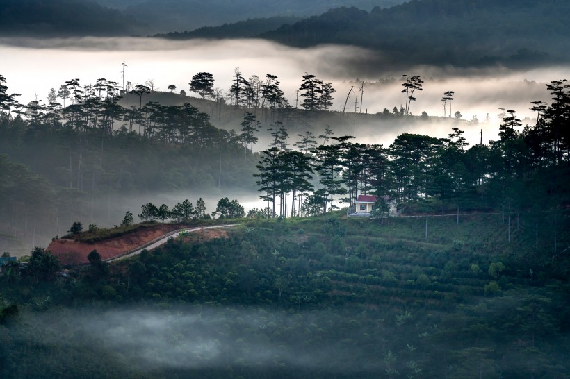 云雾缭绕的村庄图片