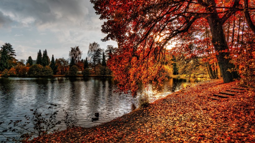秋天的景色图片