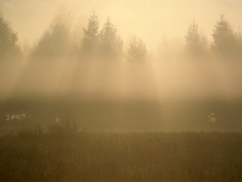 云雾缭绕自然风景图片