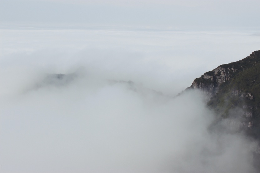 雾气弥漫的自然风景图片