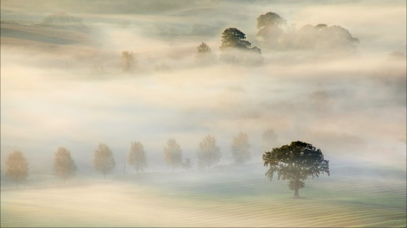 雾中风景图片