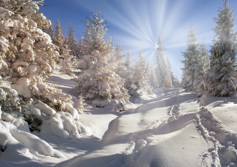 北方山林雪景图片