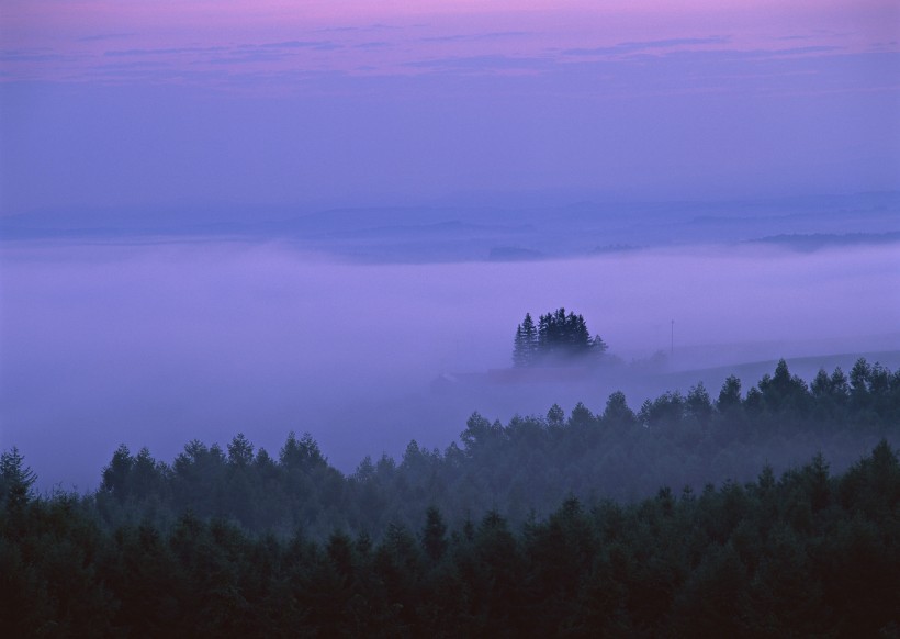 夕阳迷雾风景图片