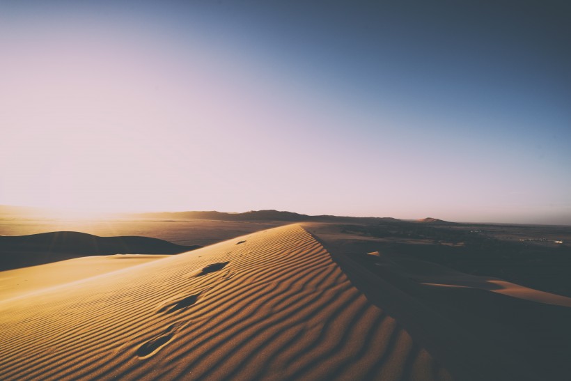 干旱的沙漠图片