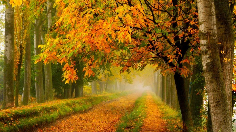 秋天的风景画图片