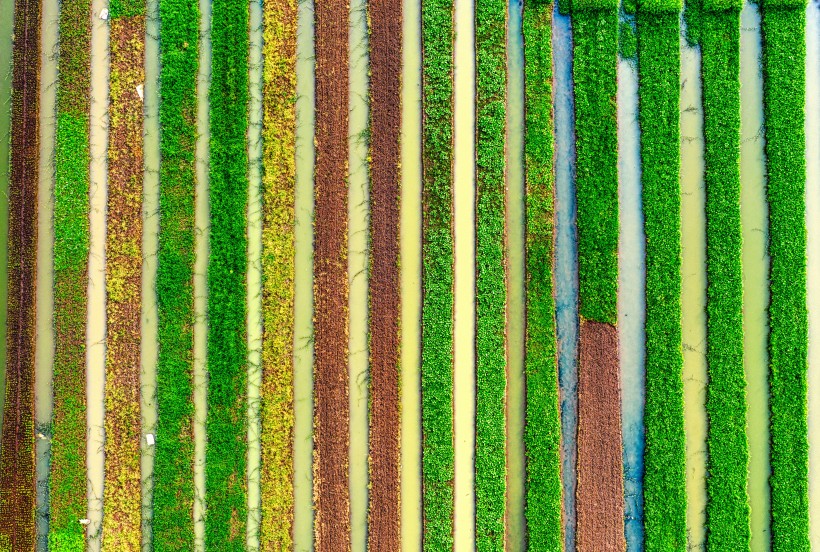 无人机拍摄的农田图片