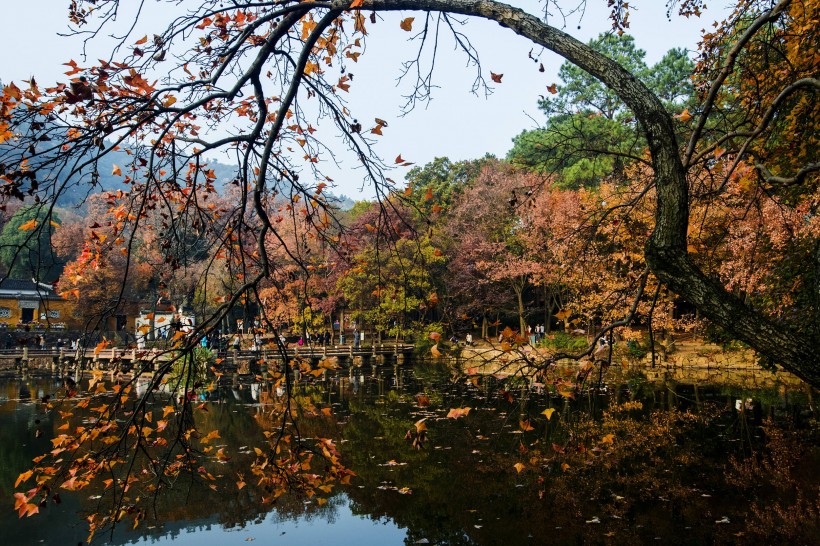 江苏苏州天平山自然风景图片