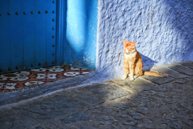 摩洛哥蓝色之城舍夫沙万建筑风景图片