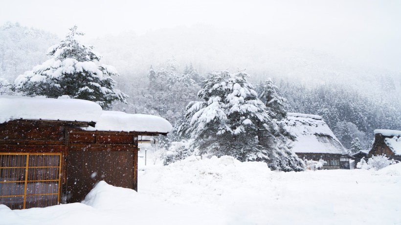 日本白川乡雪景风景图片