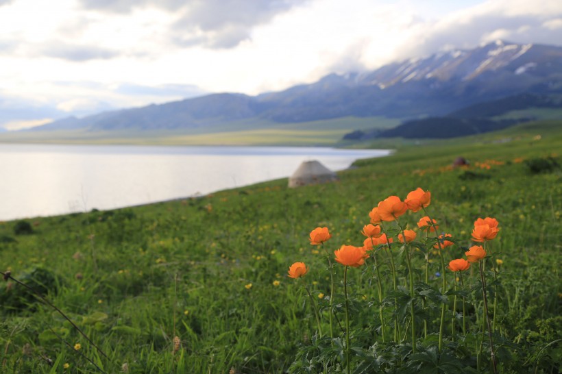 美丽的新疆赛里木湖风景图片