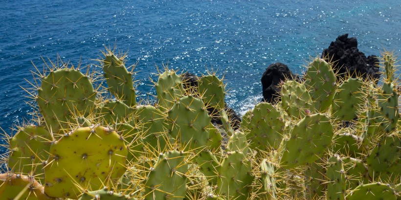 西班牙加那利群岛风景图片