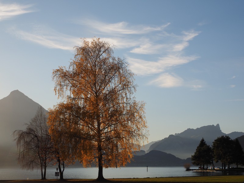 瑞士伯尔尼自然风景图片