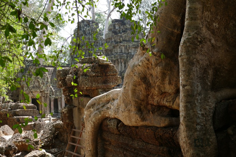 柬埔寨暹粒建筑风景图片