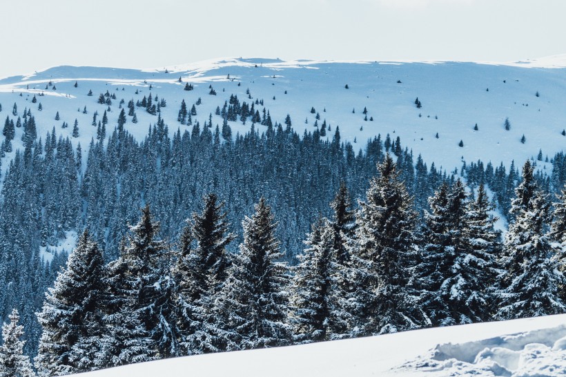 奥地利的雪山图片