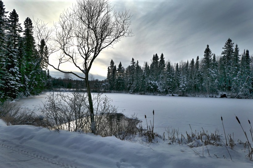 加拿大魁北克冬季雪景图片