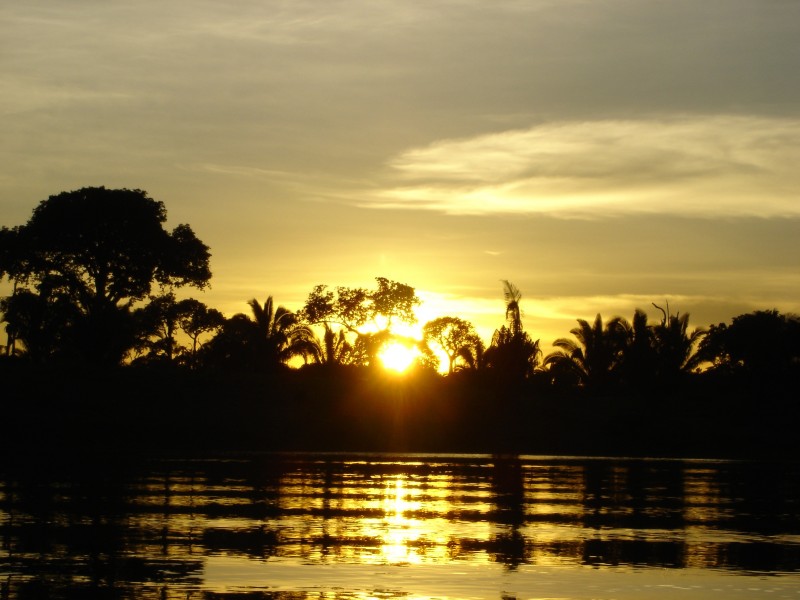 南美洲亚马逊河流风景图片