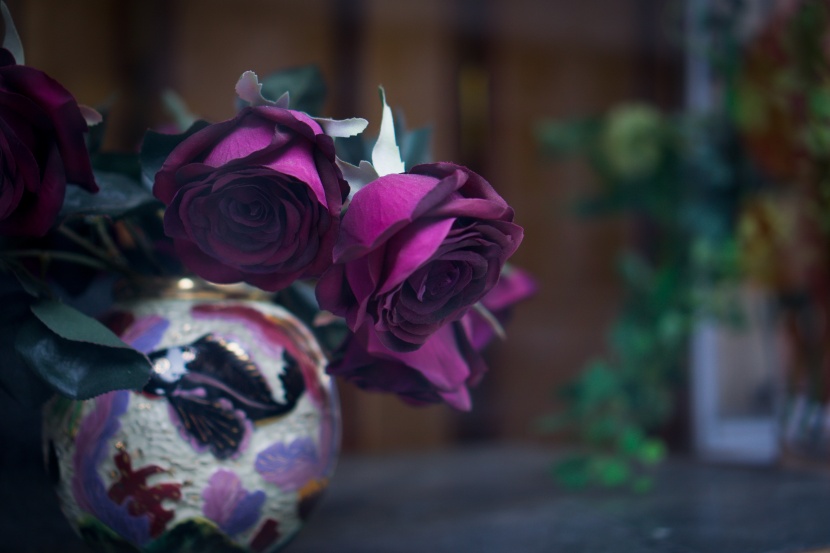 浪漫的紫色玫瑰花图片
