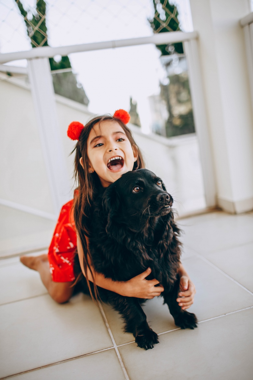 小女孩和狗狗图片