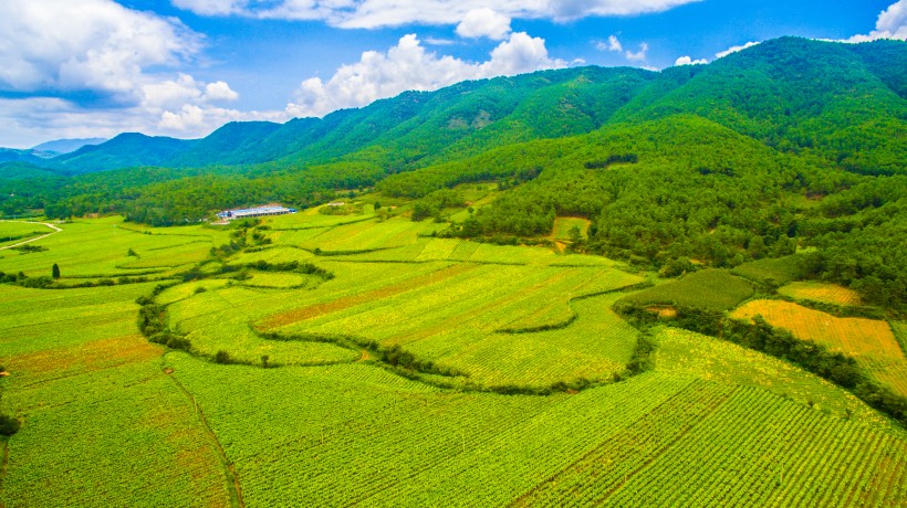 浙江台州航拍弥勒生态山谷风景图片