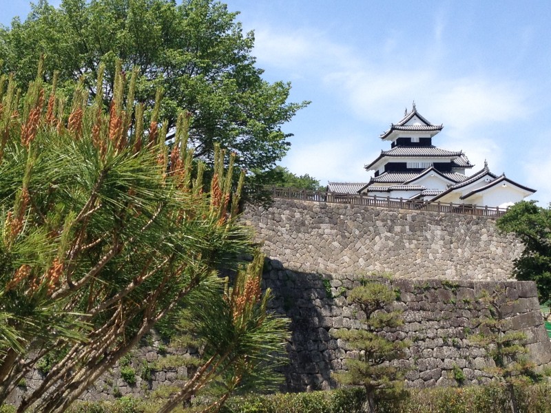 东京高野城堡图片