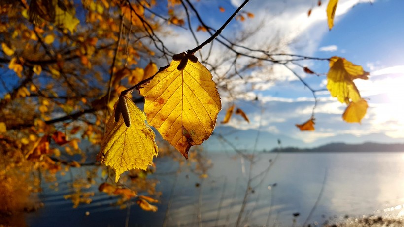 德国巴伐利亚基姆湖自然风景图片