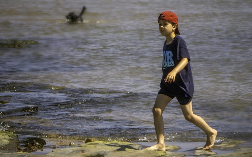 在海边玩耍的小男孩图片