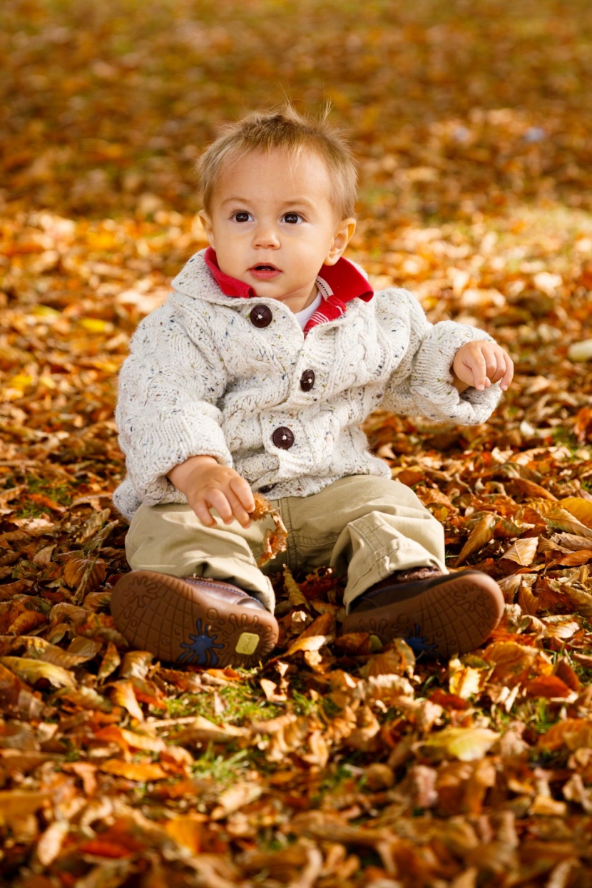 坐在枫叶上玩耍的可爱小男孩图片