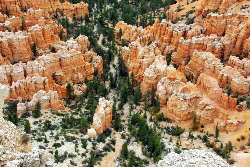 美国犹他州布莱斯峡谷国家公园风景图片