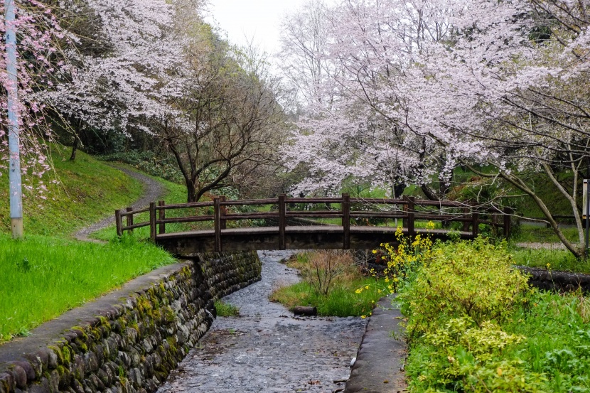 日本九州岛熊本如画风景图片